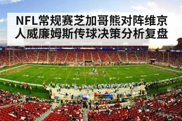 nfl football stadium action