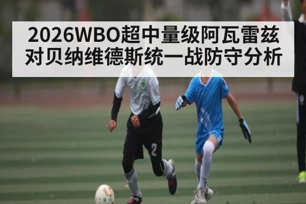 2026WBO超中量级阿瓦雷兹对贝纳维德斯统一战防守分析